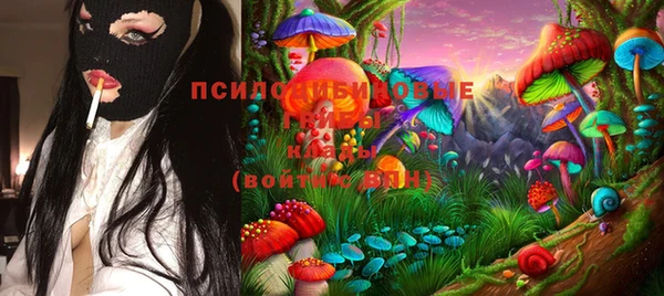 спиды Майский