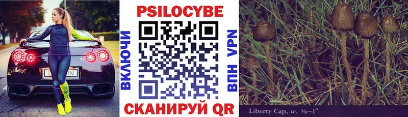 Псилоцибиновые грибы Cubensis  наркота  Красный Холм 